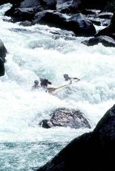 Whitewater Rafting on California's Cherry Creek